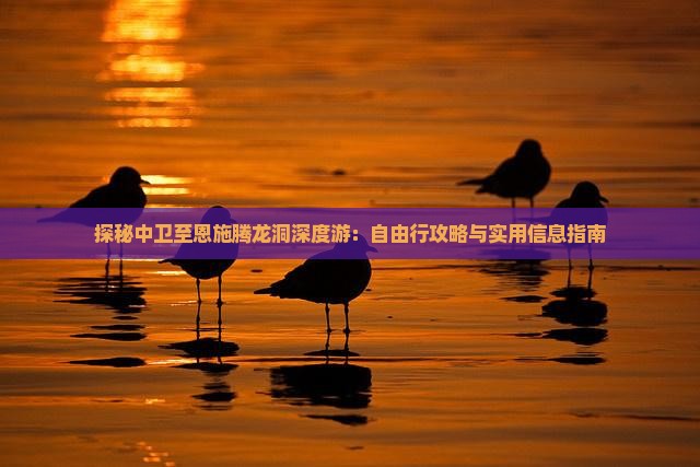探秘中卫至恩施腾龙洞深度游：自由行攻略与实用信息指南