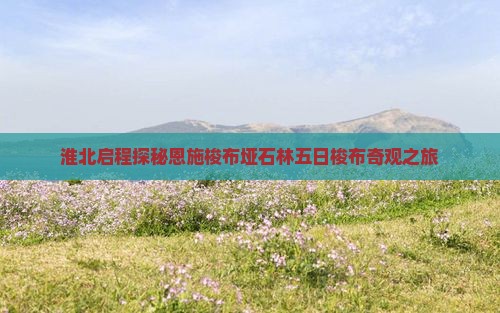 淮北启程探秘恩施梭布垭石林五日梭布奇观之旅