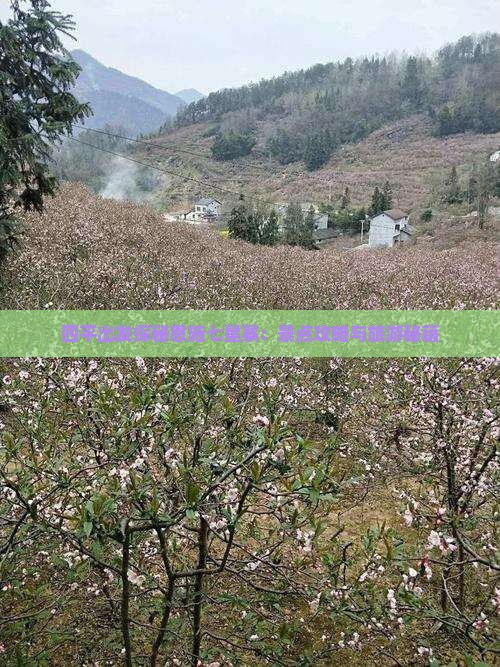 四平出发探秘恩施七星寨：景点攻略与旅游秘籍