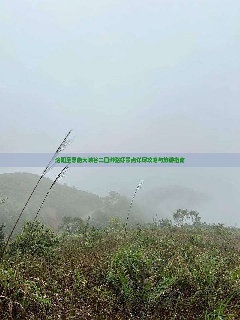 洛阳至恩施大峡谷二日游路虾景点详尽攻略与旅游指南