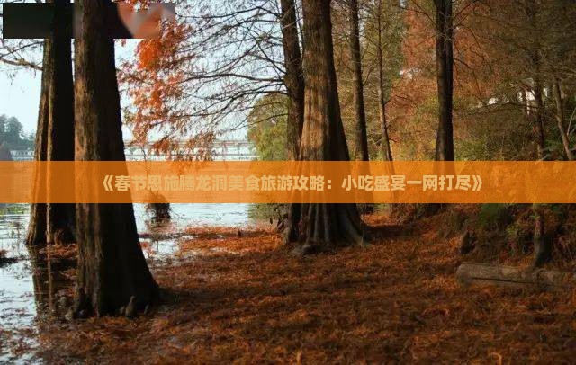 《春节恩施腾龙洞美食旅游攻略：小吃盛宴一网打尽》