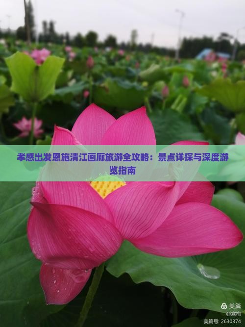 孝感出发恩施清江画廊旅游全攻略：景点详探与深度游览指南