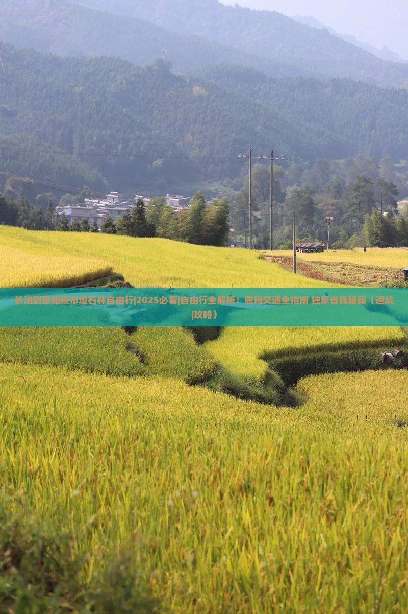 长治去恩施梭布垭石林自由行