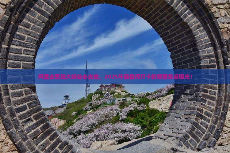 阿里去恩施大峡谷必去地
