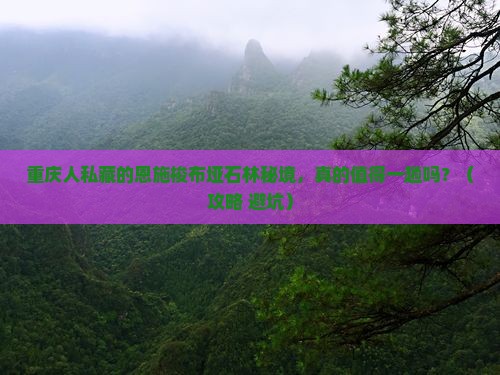 重庆去恩施梭布垭石林必去地