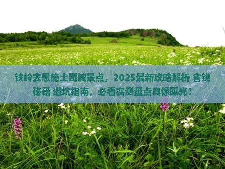 铁岭去恩施土司城景点