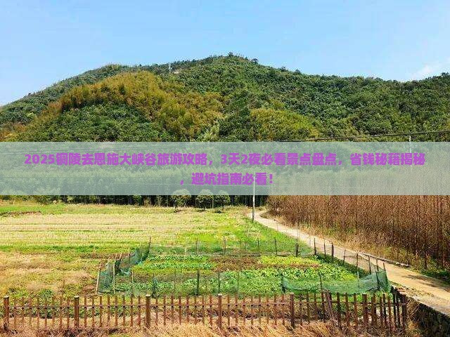 铜陵去恩施大峡谷旅游