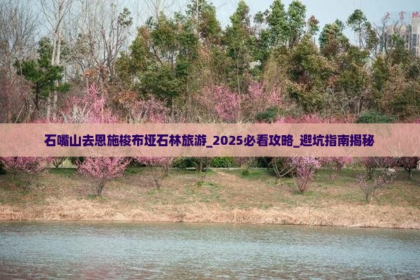 石嘴山去恩施梭布垭石林旅游