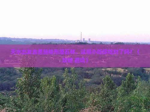 天水到恩施梭布垭石林旅游小吃