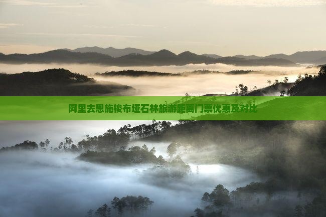 阿里去恩施梭布垭石林旅游