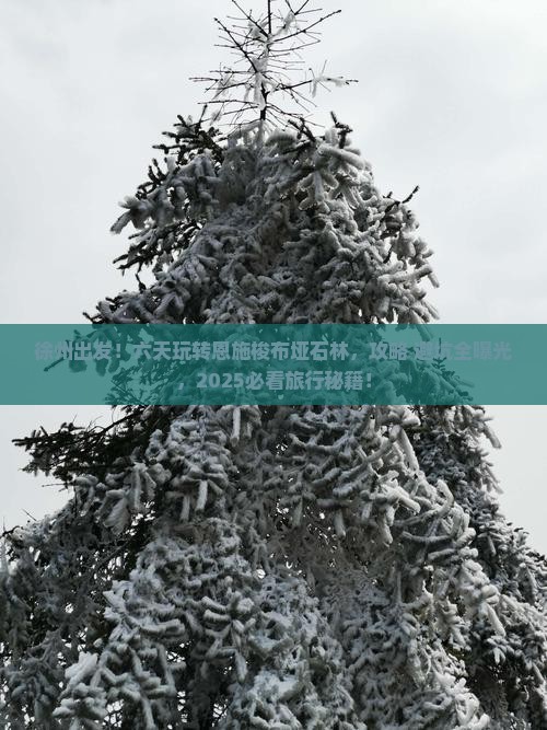 徐州到恩施梭布垭石林六日游