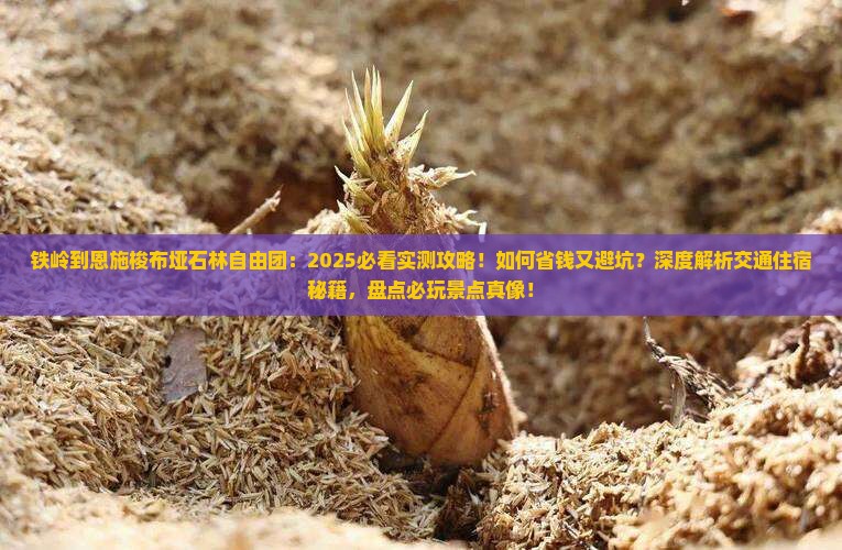 铁岭到恩施梭布垭石林自由团