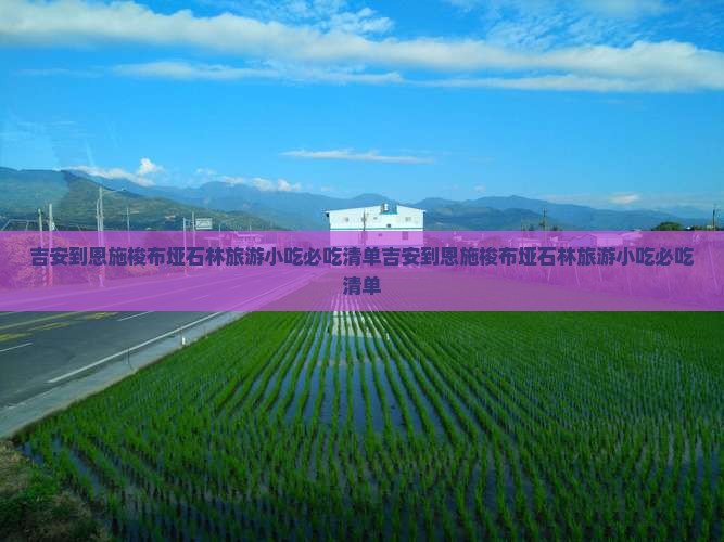 吉安到恩施梭布垭石林旅游小吃