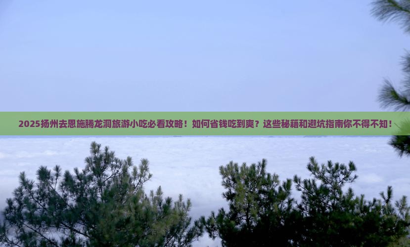 扬州去恩施腾龙洞旅游小吃