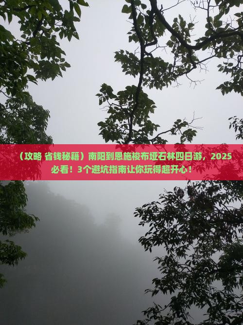南阳到恩施梭布垭石林四日游