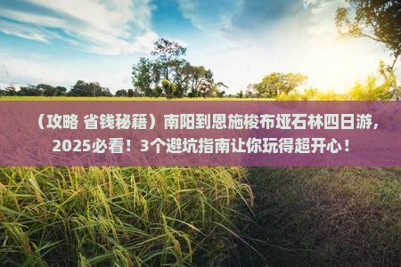 南阳到恩施梭布垭石林四日游