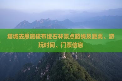 塔城去恩施梭布垭石林景点