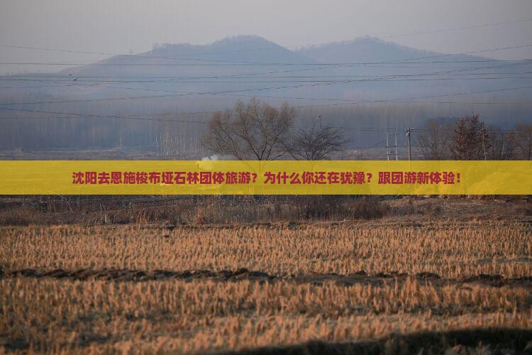 沈阳去恩施梭布垭石林团体旅游
