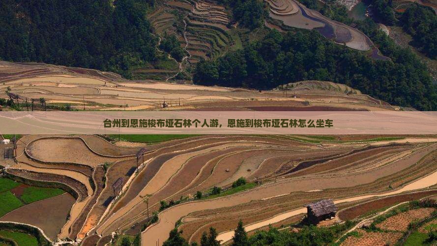 台州到恩施梭布垭石林个人游