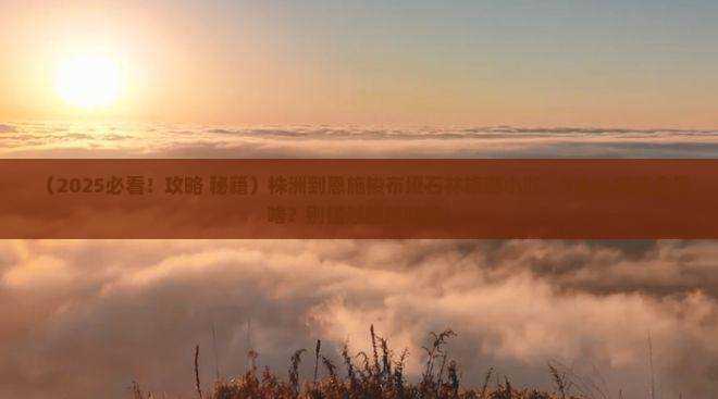 株洲到恩施梭布垭石林旅游小吃