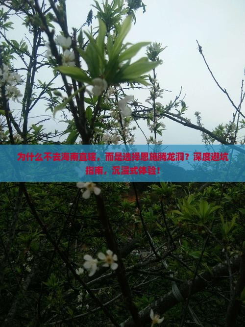 海南省直辖去恩施腾龙洞攻略