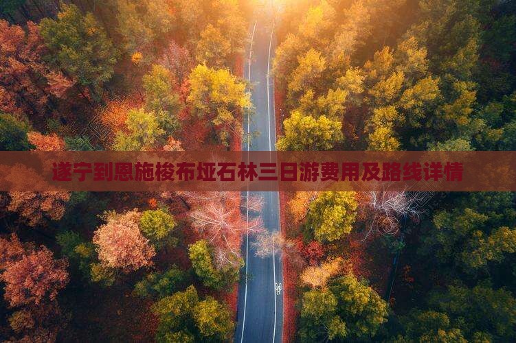 遂宁到恩施梭布垭石林三日游费用及路线详情