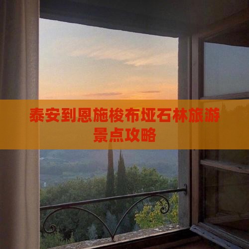 泰安到恩施梭布垭石林旅游景点攻略