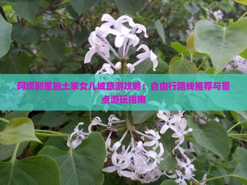 阿坝到恩施土家女儿城旅游攻略：自由行路线推荐与景点游玩指南