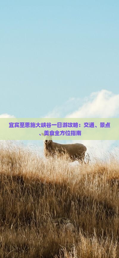 宜宾至恩施大峡谷一日游攻略：交通、景点、美食全方位指南