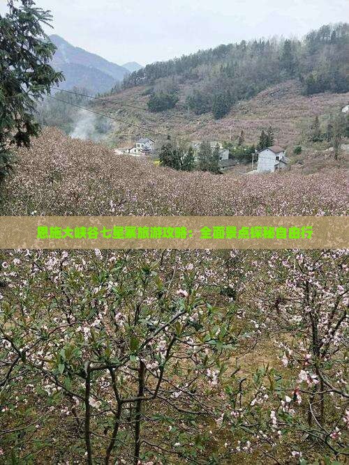 恩施大峡谷七星寨旅游攻略：全面景点探秘自由行