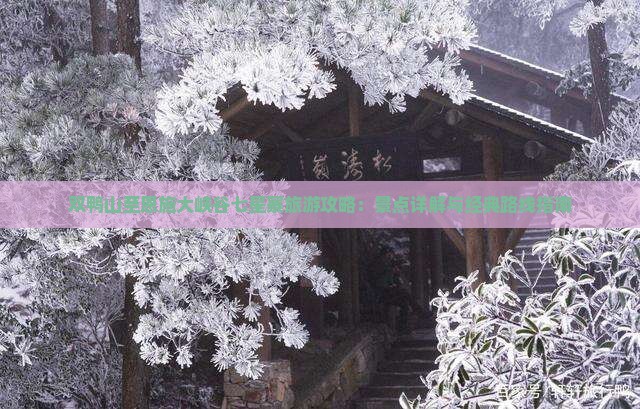 双鸭山至恩施大峡谷七星寨旅游攻略：景点详解与经典路线指南