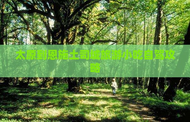 太原到恩施土司城旅游小吃自驾攻略