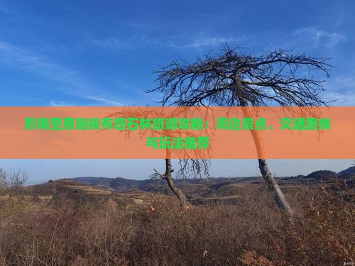 黔南至恩施梭布垭石林旅游攻略：周边景点、交通路线与玩法推荐