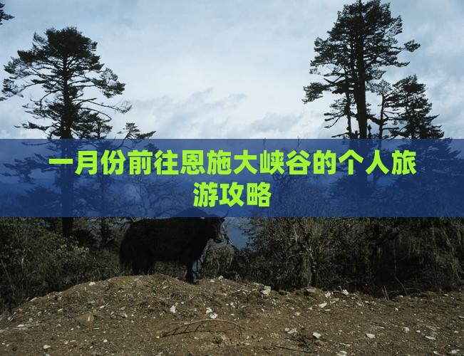 一月份前往恩施大峡谷的个人旅游攻略