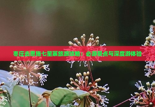 枣庄去恩施七星寨旅游攻略：必游景点与深度游体验