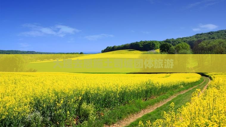 大理去恩施土司城团体旅游