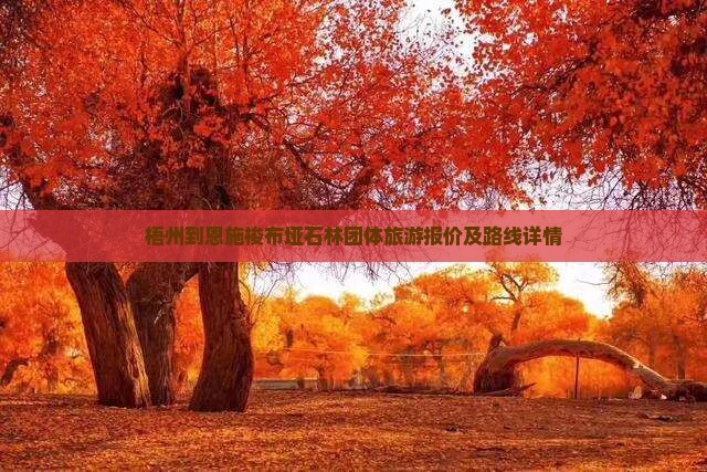 梧州到恩施梭布垭石林团体旅游报价及路线详情