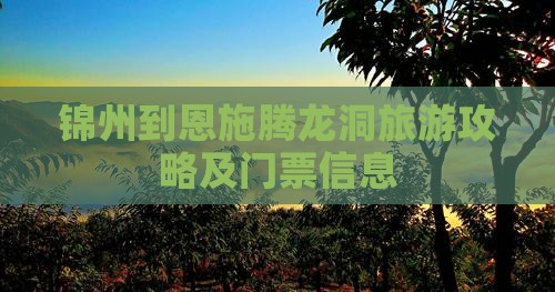 锦州到恩施腾龙洞旅游攻略及门票信息