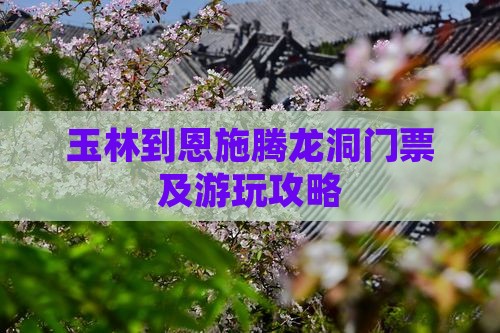 玉林到恩施腾龙洞门票及游玩攻略