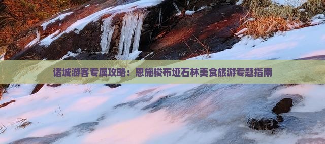 诸城游客专属攻略：恩施梭布垭石林美食旅游专题指南