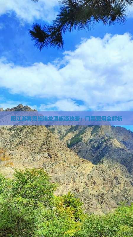 阳江游客恩施腾龙洞旅游攻略：门票费用全解析