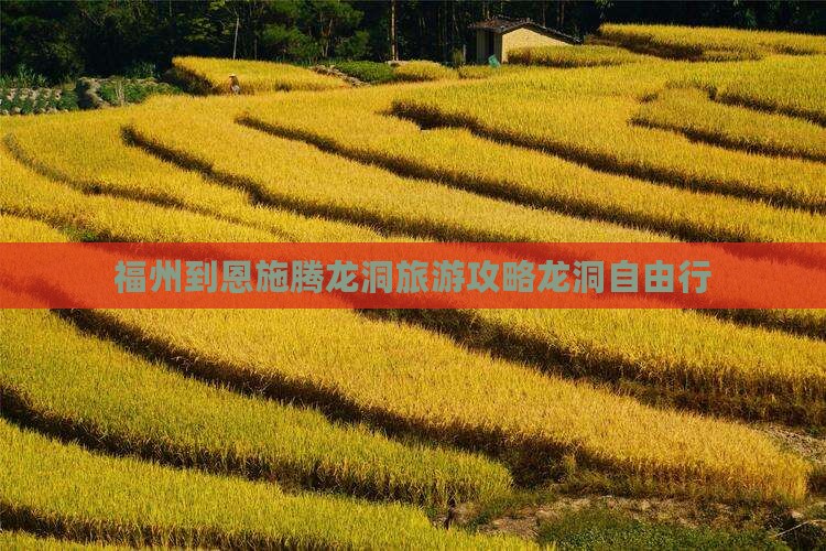 福州到恩施腾龙洞旅游攻略龙洞自由行