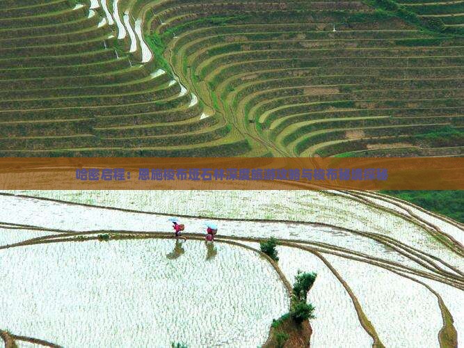 哈密启程：恩施梭布垭石林深度旅游攻略与梭布秘境探秘