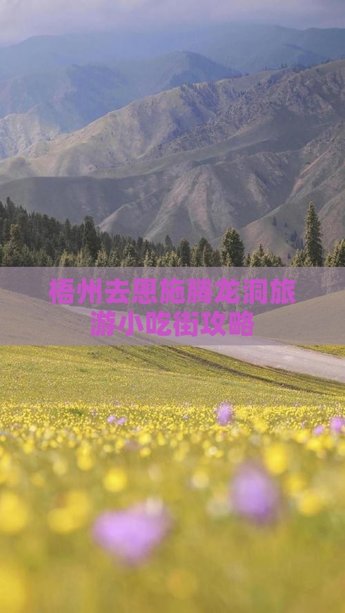 梧州去恩施腾龙洞旅游小吃街攻略