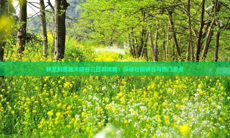 林芝到恩施大峡谷三日游攻略：探秘壮丽峡谷与热门景点