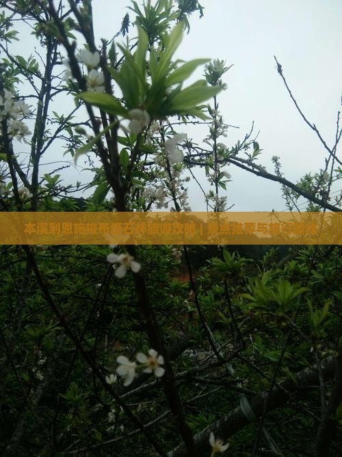 本溪到恩施梭布垭石林旅游攻略 | 景点推荐与旅行路线