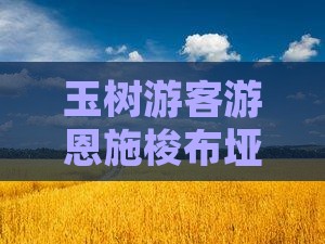 玉树游客游恩施梭布垭石林必去景点推荐