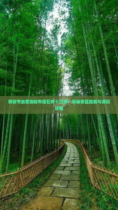劳动节去恩施梭布垭石林七日游：探秘景区地貌与游玩攻略