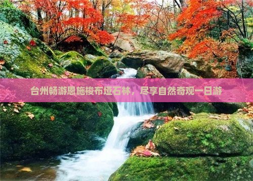 台州畅游恩施梭布垭石林，尽享自然奇观一日游