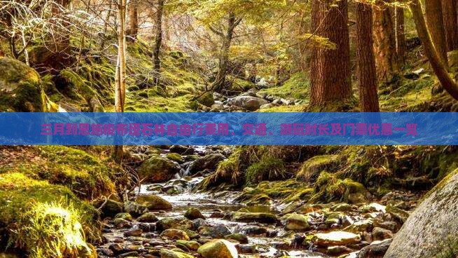 三月到恩施梭布垭石林自由行费用、交通、游玩时长及门票优惠一览